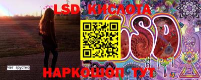 мдпв Новозыбков