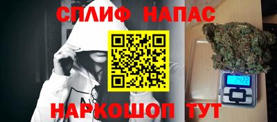 мдпв Новозыбков